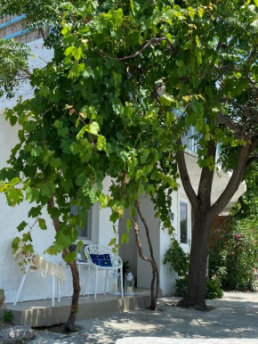 CASA DE BAGALE Village House